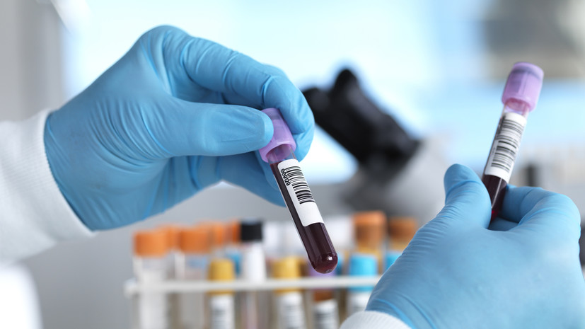 От подбора персонала до личной жизни: почему в Японии верят, что группа крови решает всё