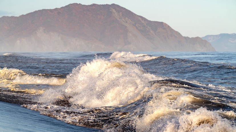 «Стратегическое значение»: учёные рассказали о восстановлении морской экосистемы Камчатки после «красного прилива»